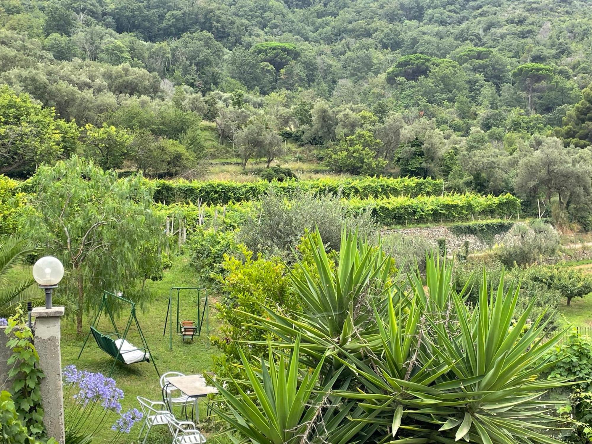 Agriturismo Barilaro Finale Ligure Ngoại thất bức ảnh