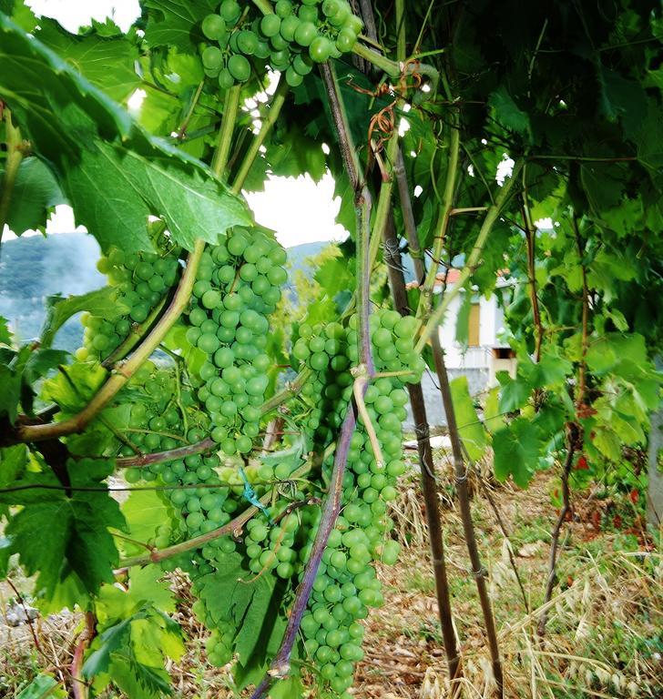 Agriturismo Barilaro Finale Ligure Ngoại thất bức ảnh