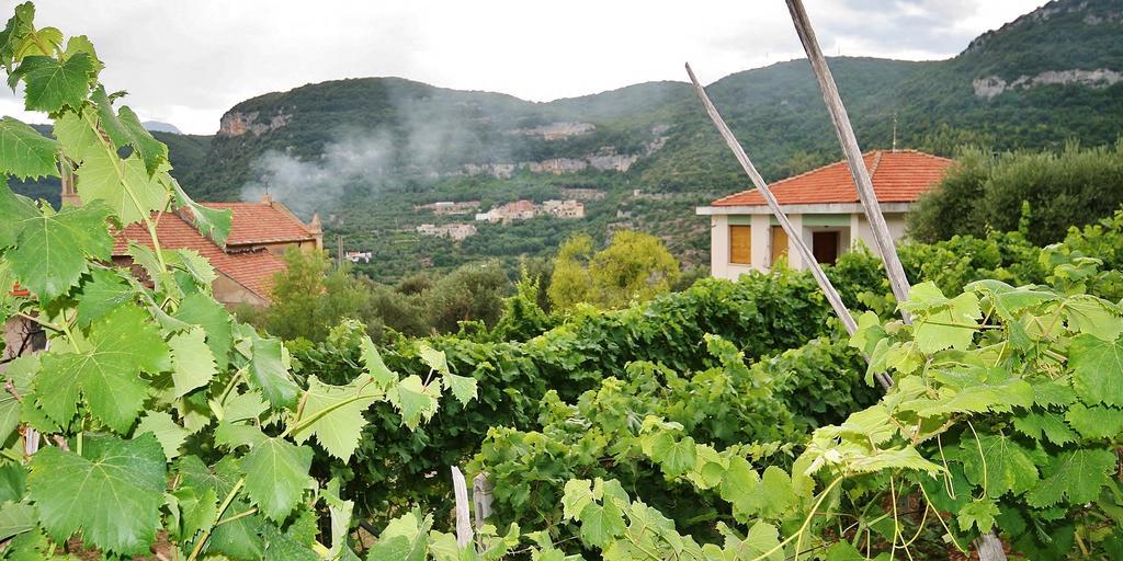 Agriturismo Barilaro Finale Ligure Ngoại thất bức ảnh